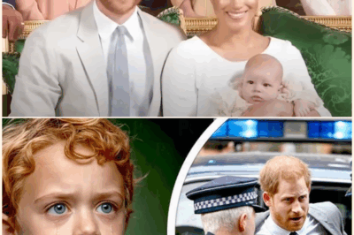 Prince Harry and His Son Torn Apart After Shocking Royal Twist