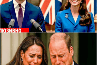 Royal Family Breaks Silence: Major Announcement Shocks the World Just Moments Ago