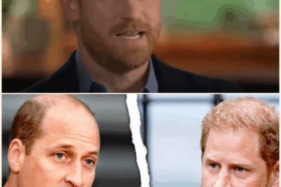 Buckingham Palace on Edge: Prince Harry’s Mysterious Disappearance Sparks Panic