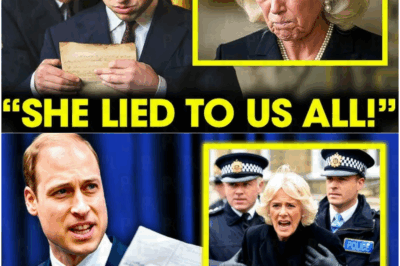 Princess Diana’s Hidden Letter to Prince William Unveiled at Last