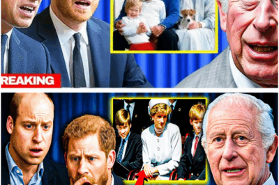 William & Harry Overcome with Emotion After Hearing Princess Diana’s Last Wish from King Charles