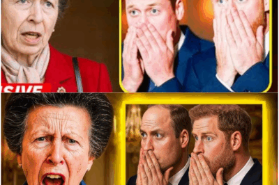 William and Harry Astonished as Princess Anne Discloses the King’s Final Wish at 74