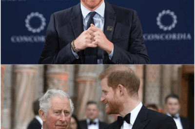 Prince Harry Loses His Cool After Discovering King Charles’s 30-Year Secret