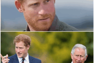 Prince Harry’s World Shattered: The 30-Year Secret King Charles Hid About Diana’s Death