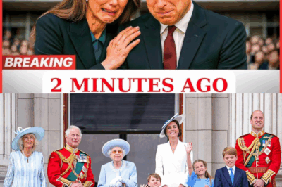 The Diana Initiative: How William and Kate Quietly Reshaped the Royal Family—and Sparked a Palace Power Struggle