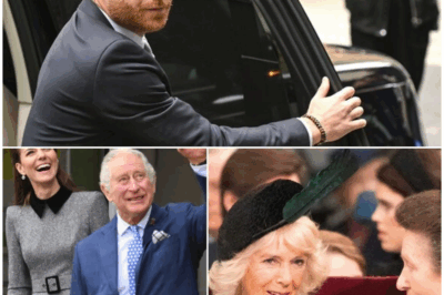 Prince Harry Rushes to King Charles’s Side Amid Cancer Battle: A Private Family Reunion in the UK