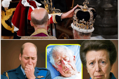 Princess Anne Reveals King Charles’s Final Wish: The Shocking Secret That Left William and Harry Stunned and Could Change the Royal Family Forever