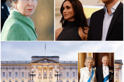 Royal Family in Mourning: Beloved Member Passes Away as Princess Anne Announces Heartbreaking News