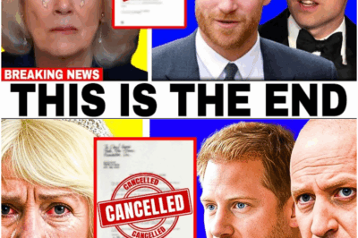 Royal Scandal Erupts: Queen Camilla Kicked Out After Prince Harry’s Shocking Confession