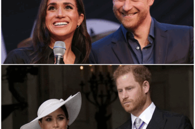 Prince Harry’s Unwavering Mental Health Mission: Separating Fact from Online Fiction