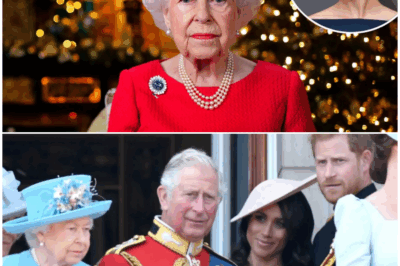 The Queen’s Secret Heartbreak: Lady Elizabeth Anson Reveals Meghan Markle’s True Impact on the Monarchy