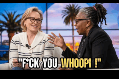 When Legends Clash: Inside Meryl Streep and Whoopi Goldberg’s Heated On-Air Confrontation