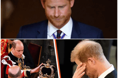 Royal Rift Deepens: Prince Harry Reportedly Devastated as King Charles Hands Beloved Military Honor to Prince William