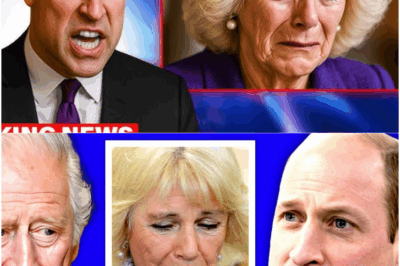 Prince William Confronts Queen Camilla On Air—A Royal Showdown Ends In Tears