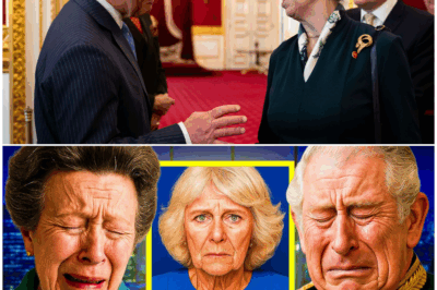 The Crown at Risk: Princess Anne and King Charles Confront a Family Secret That Could Change the Monarchy Forever