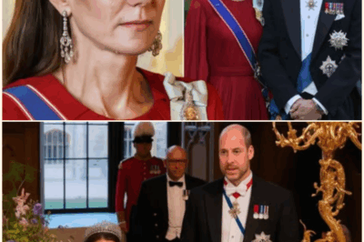Prince William Breaks Down in Tears at Élysée Palace, Pays Emotional Tribute: “Princess Catherine Has Saved Me More Times Than I Can Count”