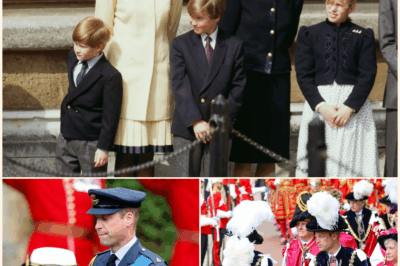 Royal Rift Rumors: Princess Anne Reportedly Clashes with Prince William Over His Modernization of the Monarchy