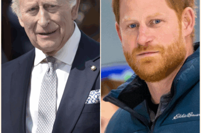 Royal Reunion on the Horizon? Prince Harry and King Charles May Hold Peace Summit This September