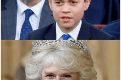 “This Is Outrageous!”—Queen Camilla Furious as King Charles Stuns Palace by Granting Prince George 7 New Titles in Shocking Power Move