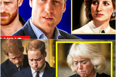 Diana’s Final Words: The Unseen Letter to Prince William That Will Melt Your Heart
