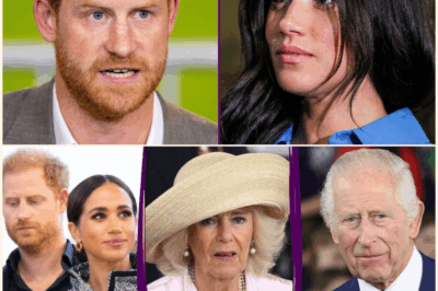 Queen Camilla’s Calm Amid the Storm: How the Queen Consort Handles Prince Harry and Meghan’s Royal ‘Attacks’