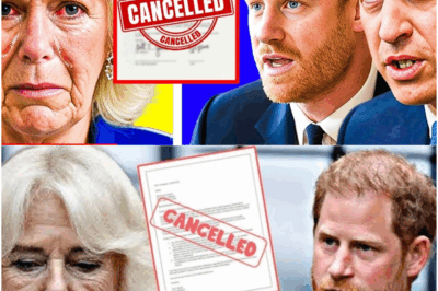 Royal Bombshell: Queen Camilla Ousted After Prince Harry’s Shocking Revelation