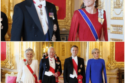 Princess Kate Delivers Powerful Message of Resilience Wearing Princess Diana’s Iconic Tiara at Windsor Castle
