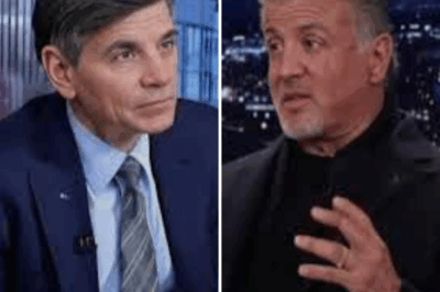 Rocky vs. The Anchor: Sylvester Stallone’s Explosive Showdown with George Stephanopoulos Leaves America Stunned