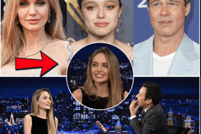 Angelina Jolie Brings Indignant Element to the Argument, the Curiosity of the Reader