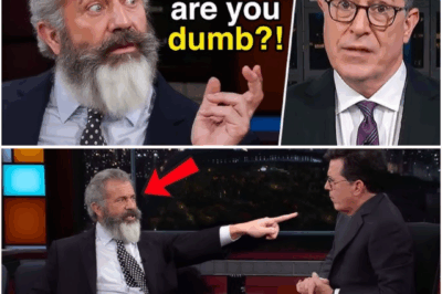 Mel Gibson and the Trial by Talk Show, Where He Was Branded an Unforgivable Sinner, and His Unforgettable Fury at a World That Refuses to Separate the Art from the Artist’s Darkest Moments.