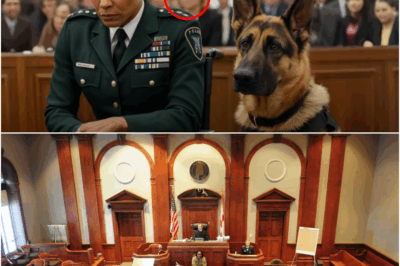 Disabled Veteran Sentenced to Death—But Her Loyal German Shepherd Reveals the Truth That Changes Everything!
