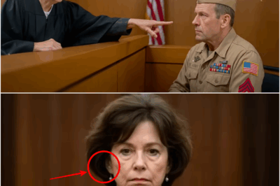 Judge Orders Disabled Veteran to Stand for Sentencing—What Happens Next Leaves the Court in Tears