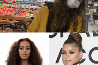 Outrage! Zendaya Exposes Racist Attack by White Man at Local Grocery Store – Fans Are Furious!