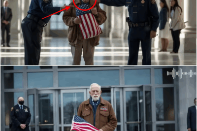 Old Man Denied Entry at Veterans’ Museum — Moments Later, a Four-Star General Shuts Down the Entire Ceremony