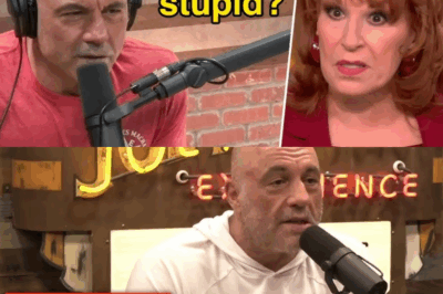 Absolutely INSANE! Joe Rogan DESTROYS Woke Guests LIVE On Air—You WON’T Believe What Happened Next!