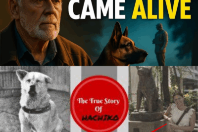 “A Man’s Simple Dog Walk Turned Into a Powerful Salute That Left a Memorial Silent — You Won’t Believe Why!”