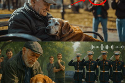 Veteran and His Dog Mocked at the Park—But Three Hours Later, Respect Arrived in Uniform