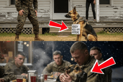 U.S. Marine Stunned to Find His K9 Abandoned—What He Did Next Will Surprise You