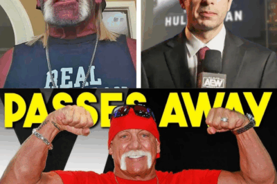 Hulk Hogan’s Final Days…Why AEW IGNORED Hulk Hogan’s Death…WWE Stars Onlyfans…Wrestling News