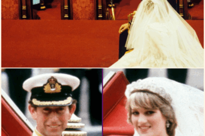 Relive the Magic: Princess Diana and Prince Charles’ Fairytale Royal Wedding Captured in Breathtaking Photos—All the Unforgettable Details Inside