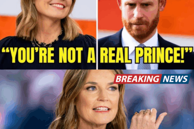 The Interview That Broke the Spell: Savannah Guthrie vs. Prince Harry on Live TV
