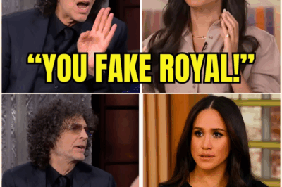 Meghan Markle Gets HUMILIATED By Howard Stern LIVE On The View After Outrageous Comments