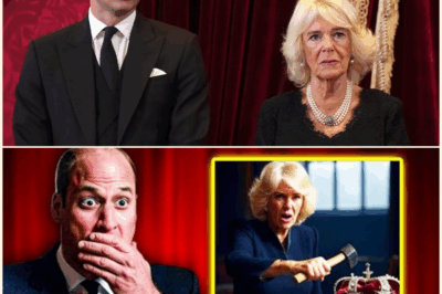 Prince William in Tears as Camilla Ruins Princess Diana’s Most Precious Keepsake