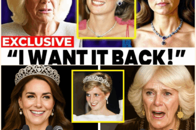 Queen Camilla GOES NUTS After Catherine CAUGHT Wearing Diana’s Most Treasured Heirloom