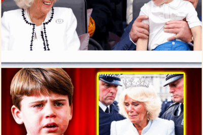 What Prince Louis Found in Queen Camilla’s Room Left Him In Tears