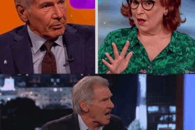 Harrison Ford Walks Off The View: Silence, Ethics, and the Echoes of Respect