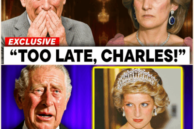 King Charles FINALLY Confesses The BIGGEST Regret Of Diana…Royal Family Falls Apart!