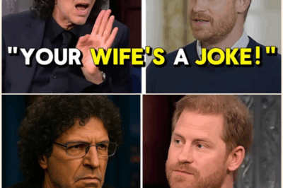Howard Stern Destroys Prince Harry On Live Radio: Explosive Showdown Leaves Royal Speechless