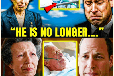 Princess Anne & William Officially CONFIRMS Devastating New Details About King Charles