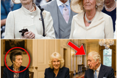 Princess Anne REVEALS Wild King Charles & Queen Camilla Dinner Story – No One Expected This!